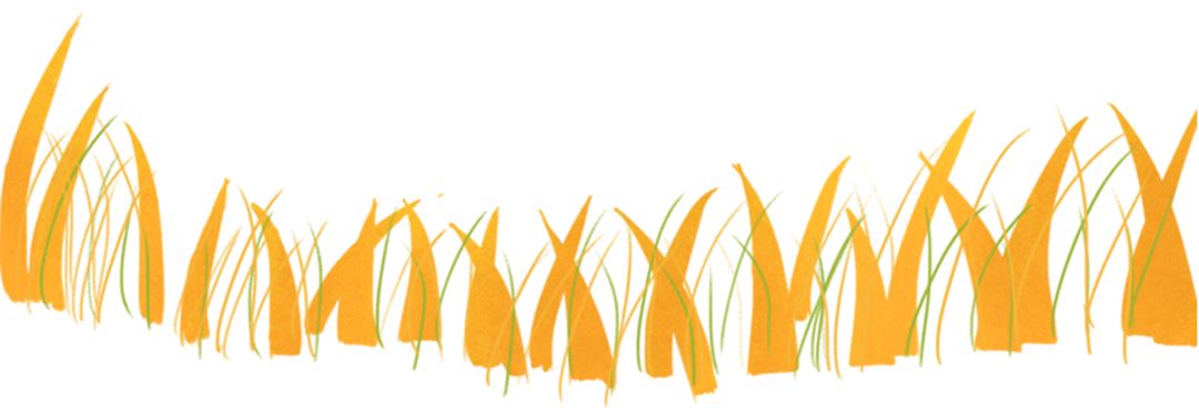 鍖椾含浜屼腑鍚嶅笀,鍖椾含浜屼腑楠ㄥ共鏁欏笀鍚嶅崟