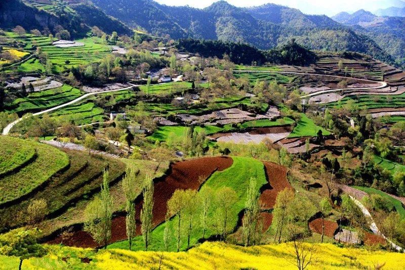 您好,这里是成县!