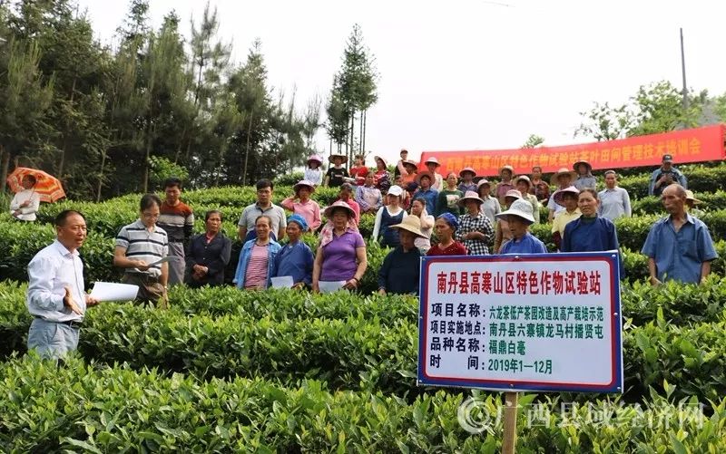 桂字号特色产品宣传语,桂字号产品