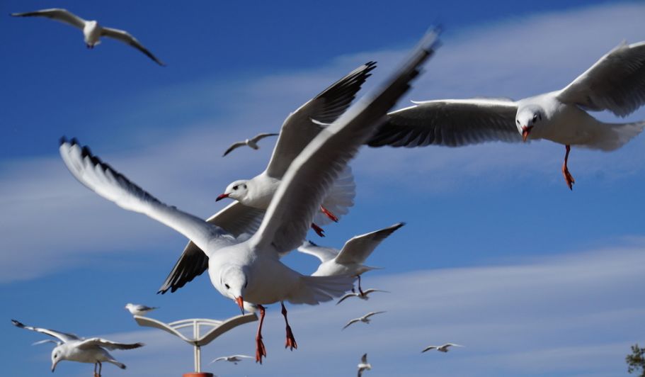 大连五一小长假游玩地推荐,五一旅游热门地方大连