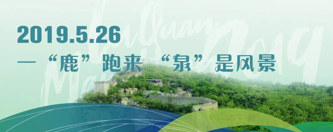 君乐宝马拉松鹿泉直播,石家庄鹿泉君乐宝国际半程马拉松