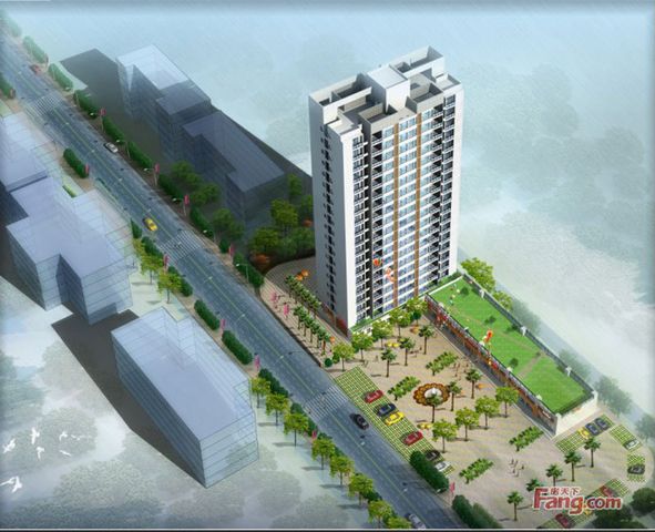 金鹏金彭,金鹏金翔