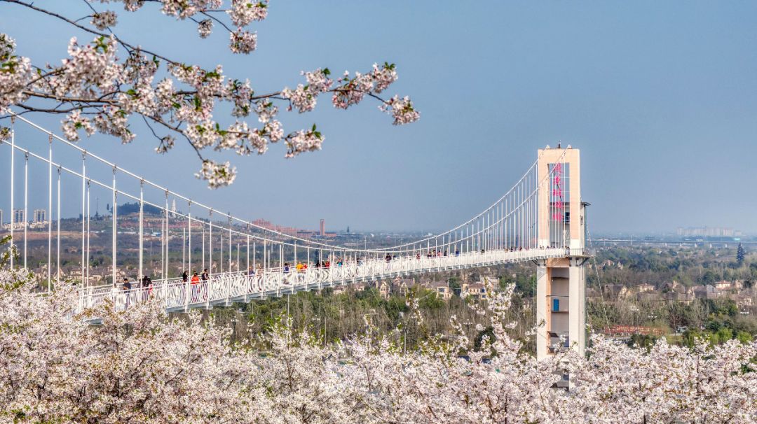 城市公园玩法,公园城市新模式