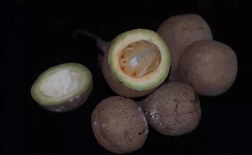 喜欢吃榴莲的人有钱,真正爱吃水果的人