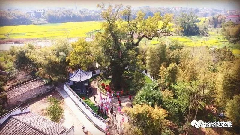 五一德兴附近一日游,德兴山水游