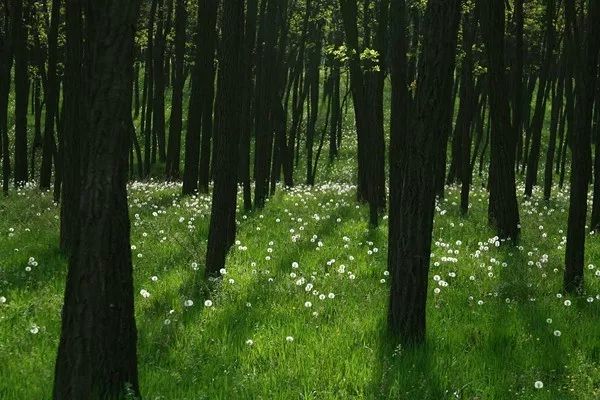错过等一年,错过等一年歌曲视频