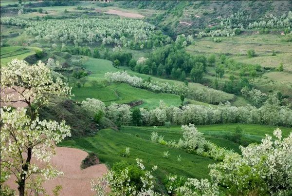 错过等一年,错过等一年歌曲视频