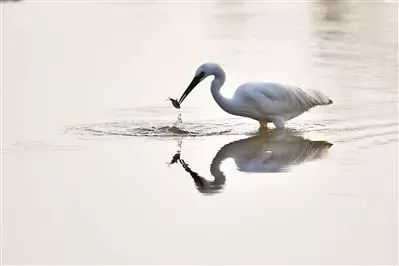 佛山亲子游好去处免门票花海,佛山儿童公园游玩攻略
