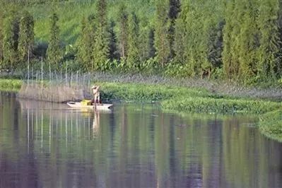 佛山亲子游好去处免门票花海,佛山儿童公园游玩攻略