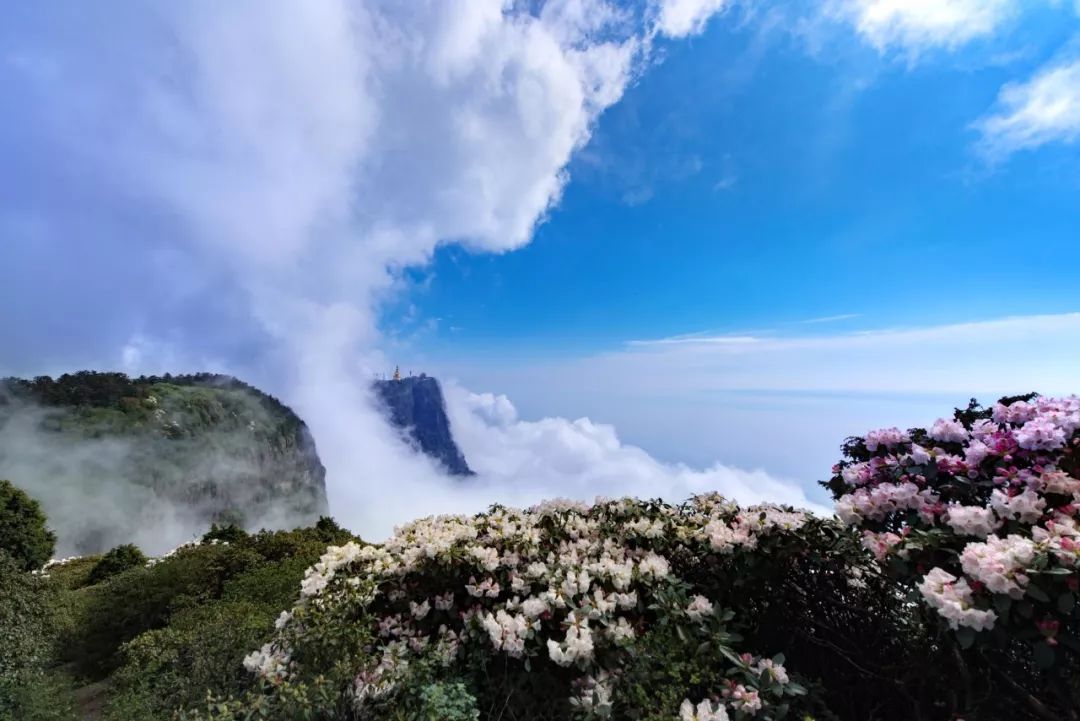 峨眉山十大旅游城市,峨眉山市天府旅游名县