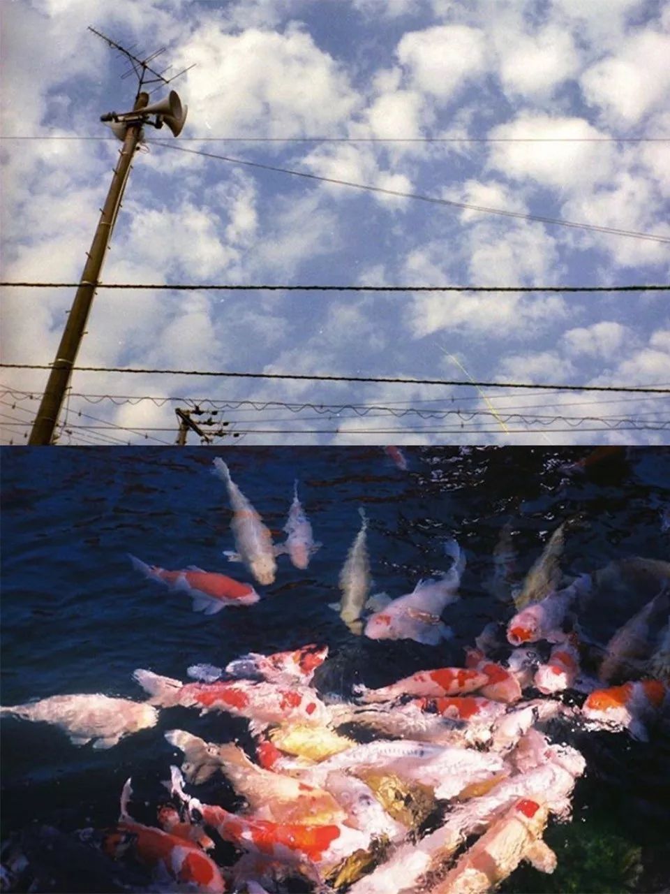 入坑手动胶片机的注意事项,比较好的胶片机推荐