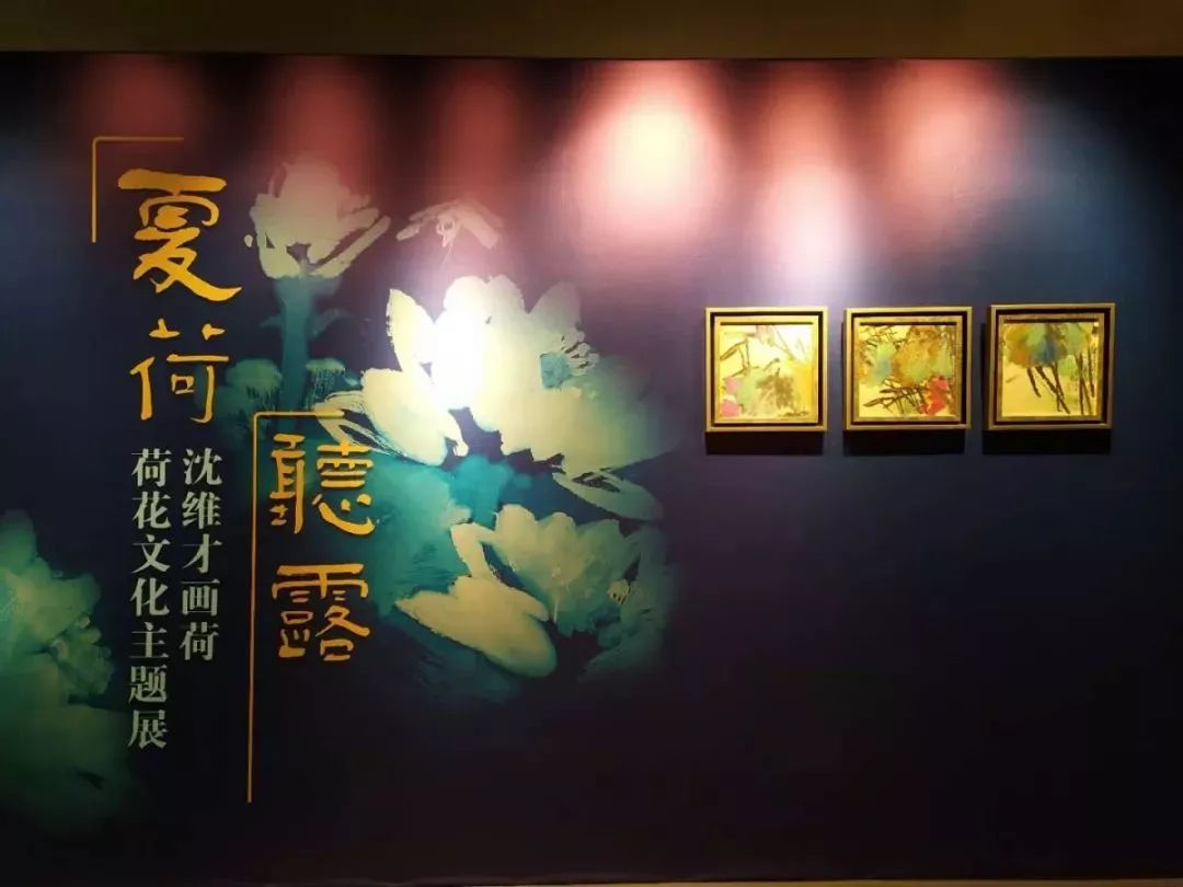 五月上海免费展览,上海5月展览必看