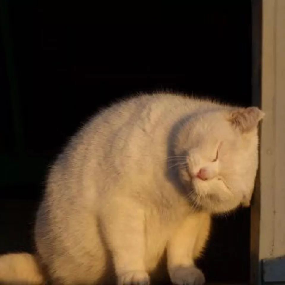 在警察学院的一天,在看守所体验一天生活