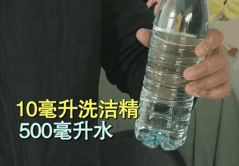 家里墙壁发霉怎么快速去除,墙壁发霉有很多小虫子怎么去除