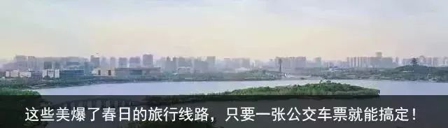 如果不打开这篇文章，你永远不会知道沧州居然可以这么好玩|漫游冀（12）