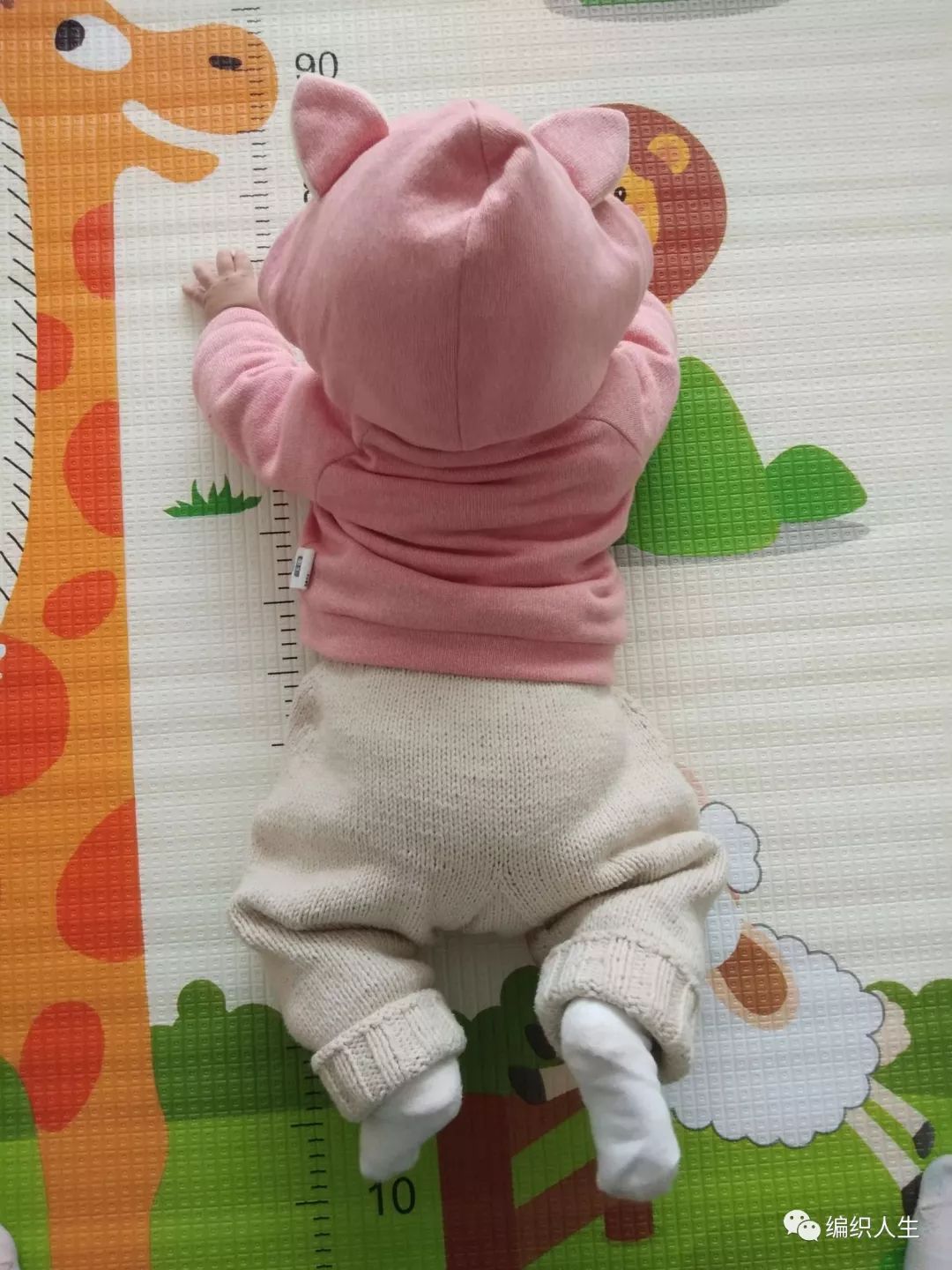 宝宝毛线裤的编织方法3岁,宝宝毛线裤从下往上织编织教程