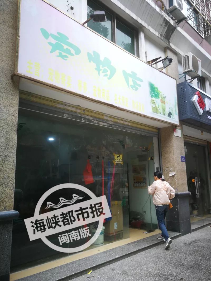 1200元的柴犬2天就死了,2000多买的狗死了