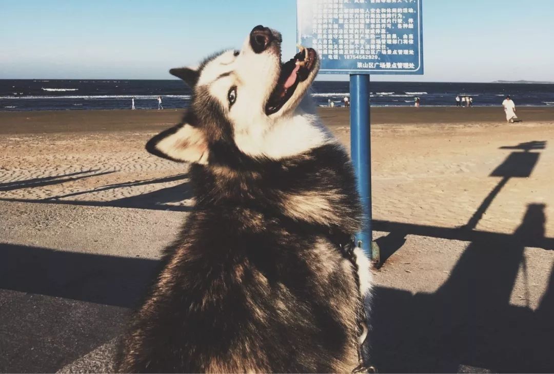 <html>
<head><title>502BadGateway</title></head>
<body>
<center><h1>502BadGateway</h1></center>
<hr><center>nginx</center>
</body>
</html>
<!--apaddingtodisableMSIEandChromefriendlyerrorpage-->
<!--apaddingtodisableMSIEandChromefriendlyerrorpage-->
<!--apaddingtodisableMSIEandChromefriendlyerrorpage-->
<!--apaddingtodisableMSIEandChromefriendlyerrorpage-->
<!--apaddingtodisableMSIEandChromefriendlyerrorpage-->
<!--apaddingtodisableMSIEandChromefriendlyerrorpage-->
