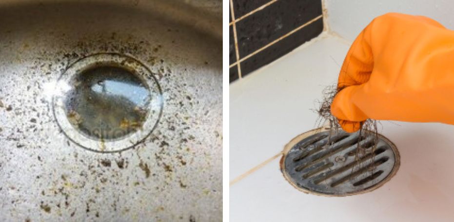 家里有小飞虫和蟑螂,家里装了纱窗还是有小蚊子能进来