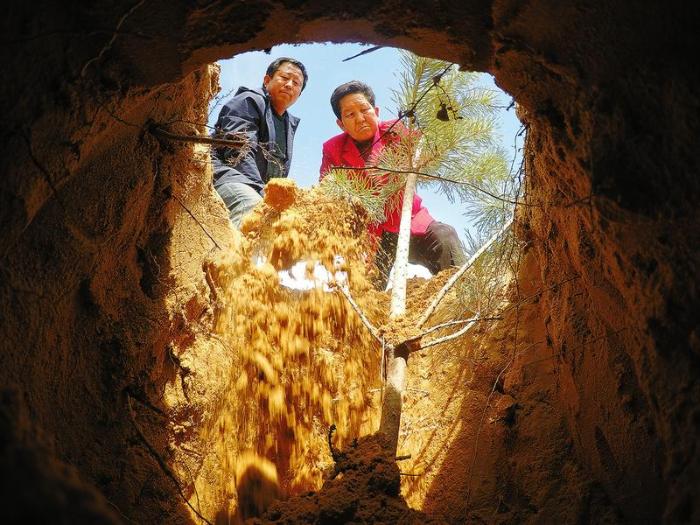 行走在大漠戈壁,行走在新疆的胡杨