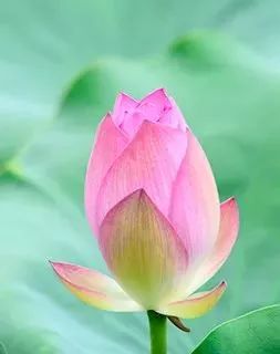 端午打卡贵州网红景点,网红旅游打卡地黔南