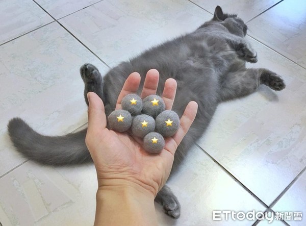 厌世黑猫身上搓出巨无霸仙丹　奴才笑：今年产季不错