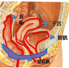 she成员ella有几个孩子,she成员ella带孩子