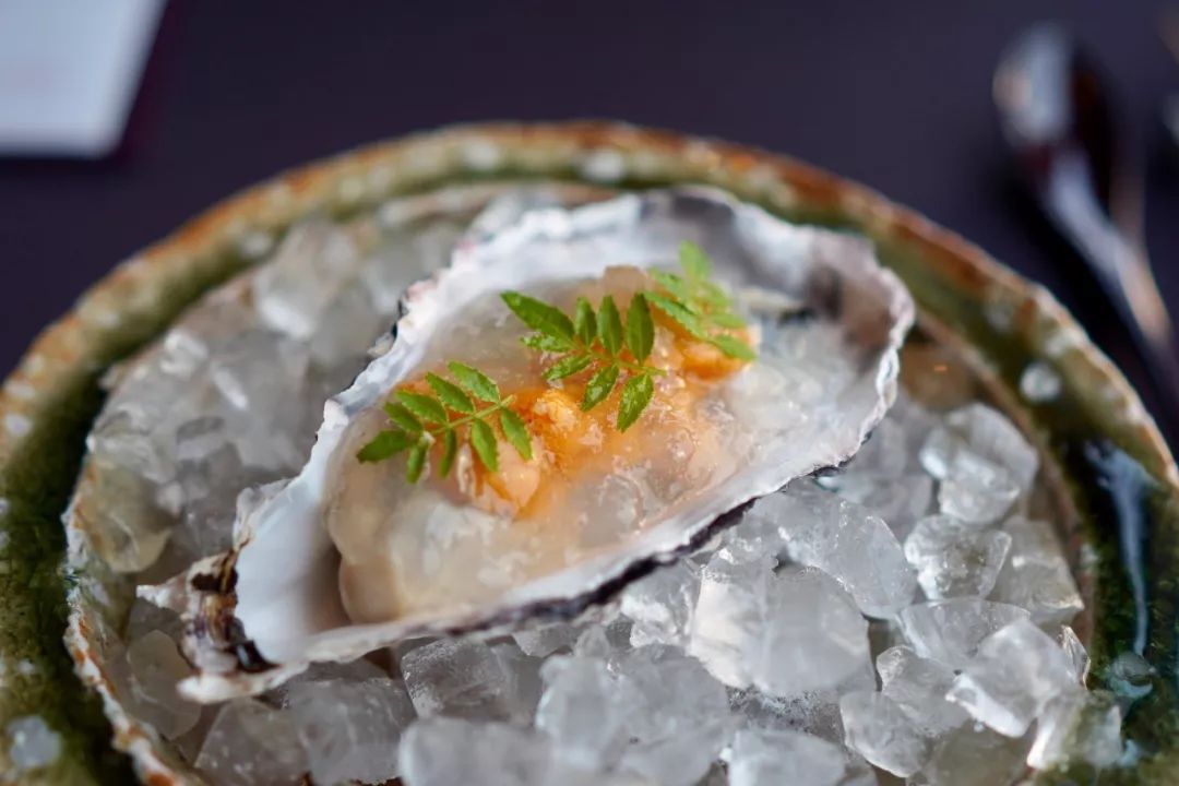 米其林十星美食,香港米其林吃美食