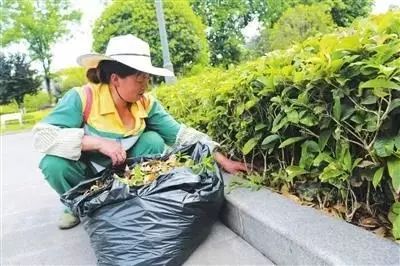 渣滓堆“变”花海，江北的颜值又提升了！