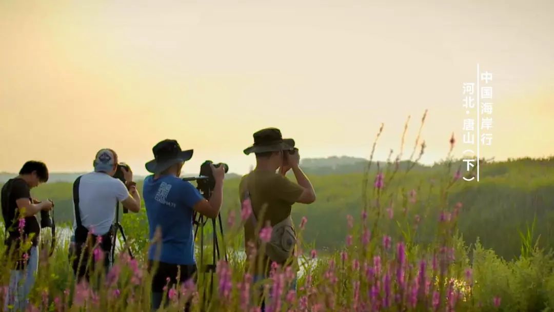 我想去唐山三岛曹妃甸港看看感受下百年“评”韵绽芳华