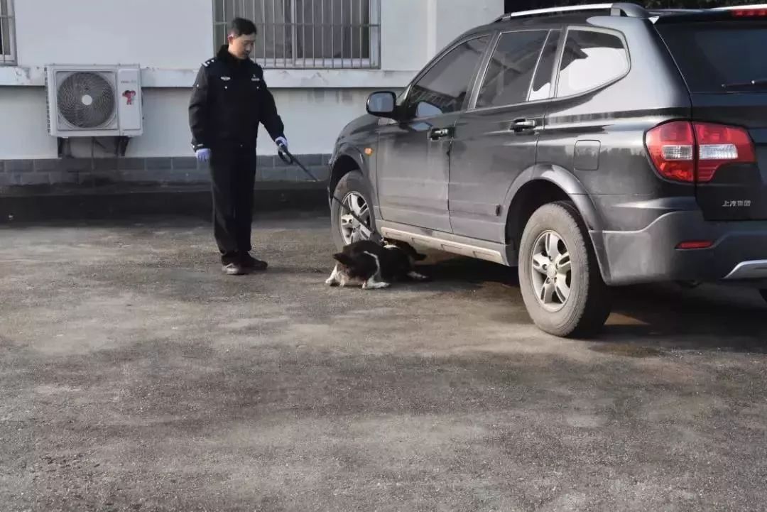 南京儿童奔跑吧夏令营,奔跑吧少年夏令营报名南京