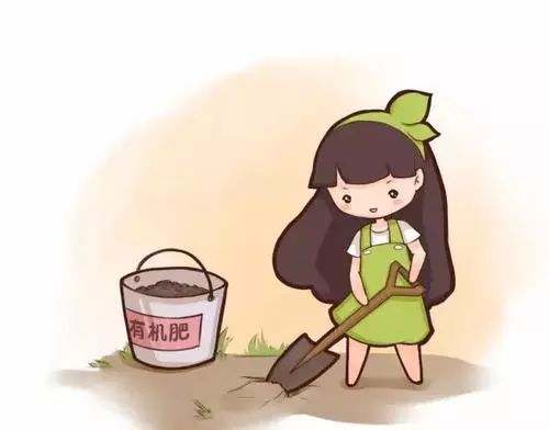 锌肥和氨基酸水溶肥有啥区别,锌腐酸肥料好还是腐植酸肥料好