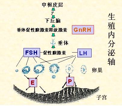 月经那些事科普讲座,月经所有问题大全