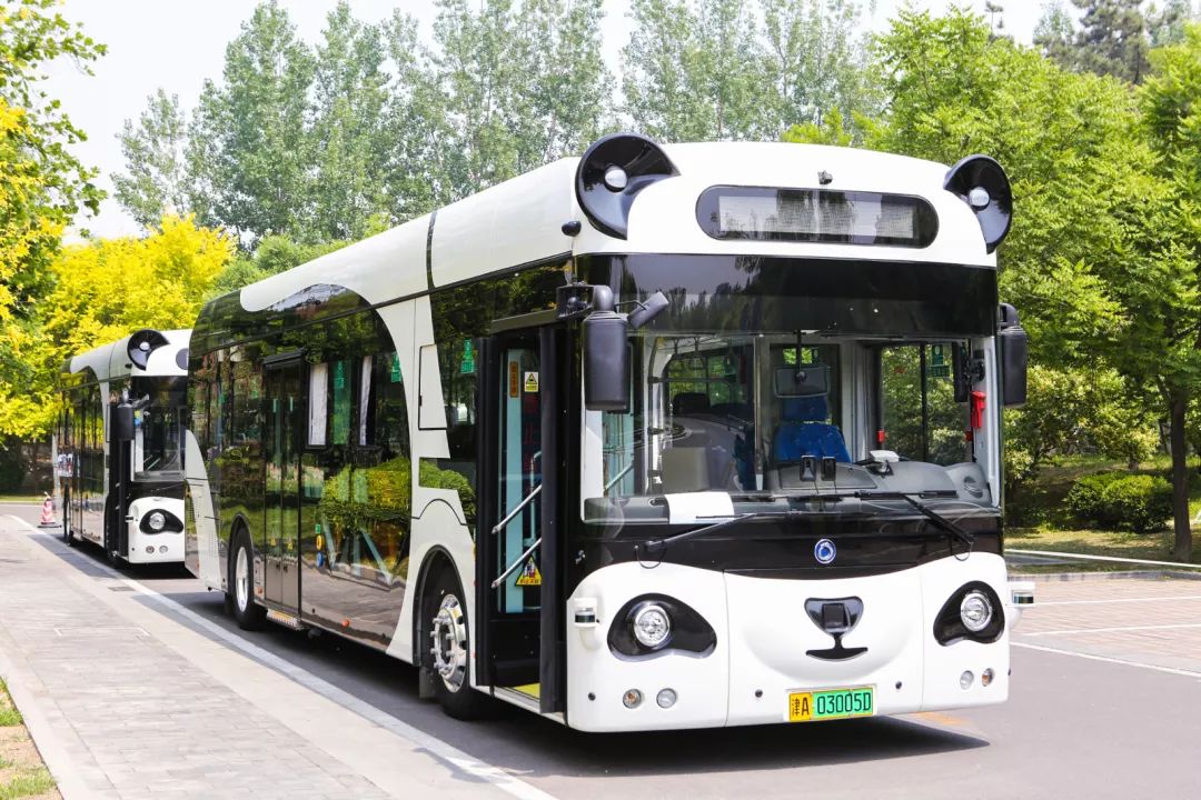 滨海最新公交车,滨海可以坐公交吗现在