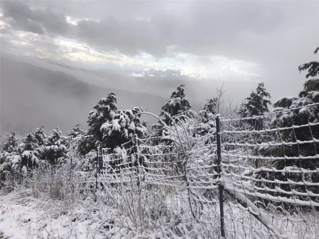 2019环富士山超级越野赛,环富士山越野赛2023冠军