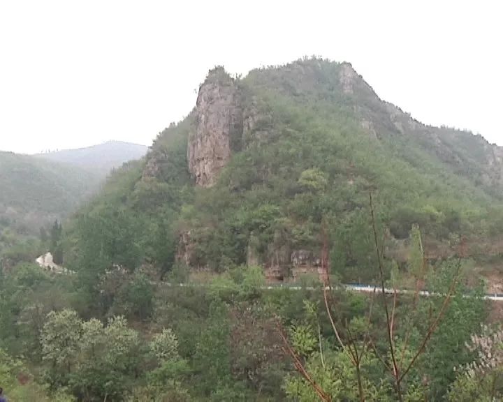 乡村振兴巡礼工程,乡村振兴整合产业资源