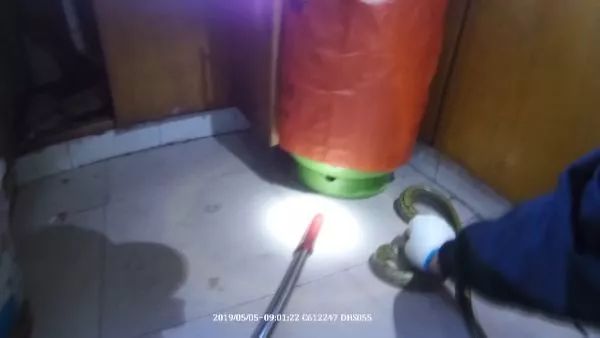 白天有蛇从胳膊爬过去,大白天一条小蛇爬腿上是什么情况