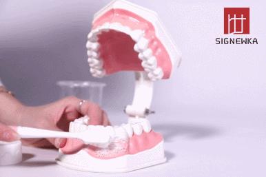 牙医推荐电动牙刷暴力测评,德国牙医推荐的变态牙刷