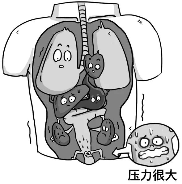 漫画类科普,漫画科普