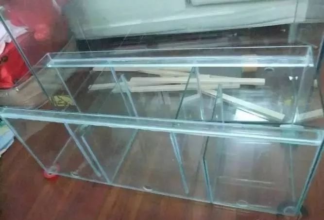 1.5米生态缸的用料及造景,1.2米的缸适合做什么缸