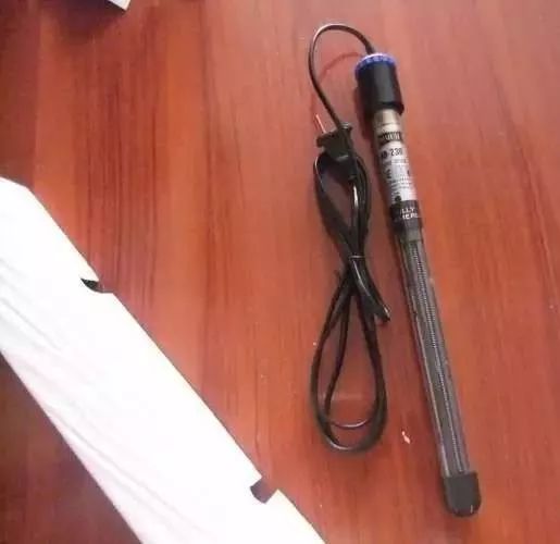 1.5米生态缸的用料及造景,1.2米的缸适合做什么缸