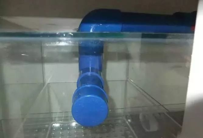 1.5米生态缸的用料及造景,1.2米的缸适合做什么缸