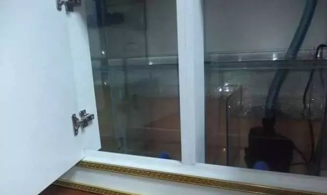 1.5米生态缸的用料及造景,1.2米的缸适合做什么缸