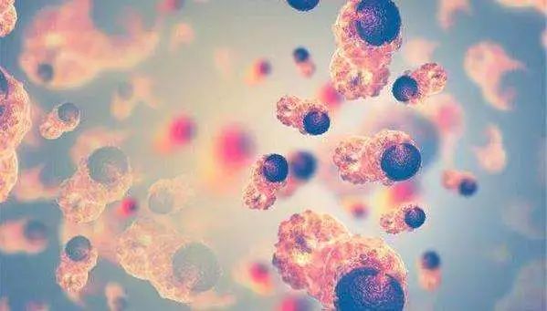 体检一般检查哪些项目能预防癌症,抽一滴血检查有什么病是真是假