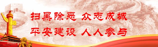 武平版飞鱼团来了！全国游泳城市系列赛他们揽回6金4银3铜~