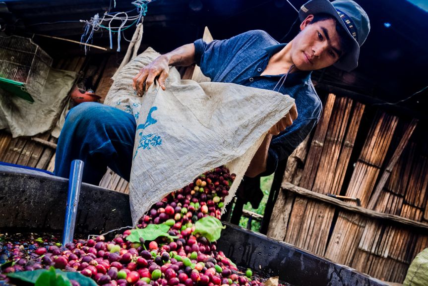 在乡土中国里拼出奇迹