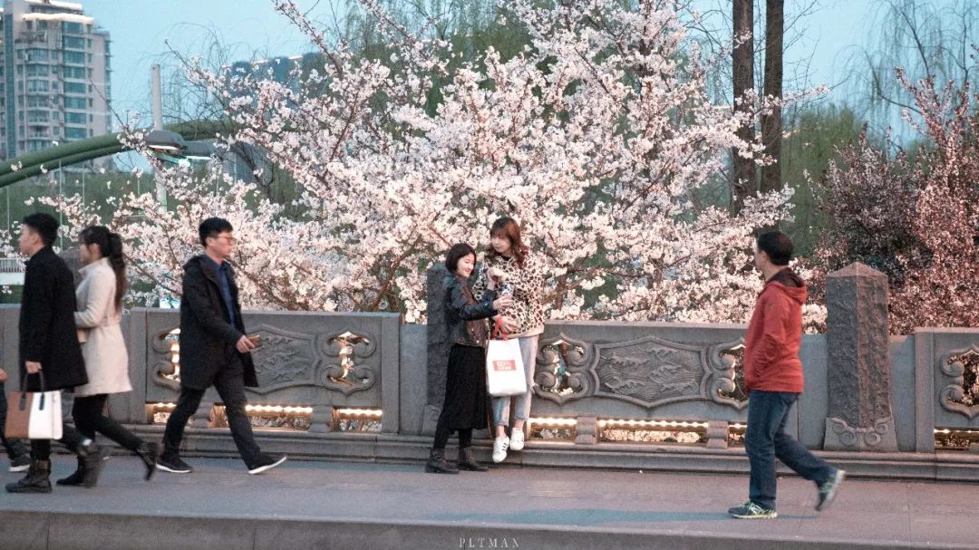 和我在杭城的运河边走一走