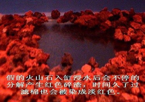 缸里面的底砂到底是什么,高手揭秘必须知道的技巧