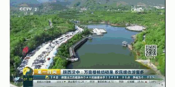 拿好这篇西安采摘樱桃指南,西安白鹿原樱桃采摘