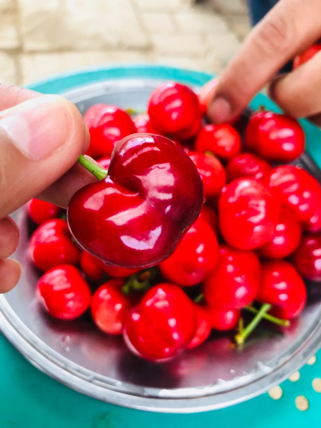 西安樱桃采摘全攻略,西安樱桃采摘时间表